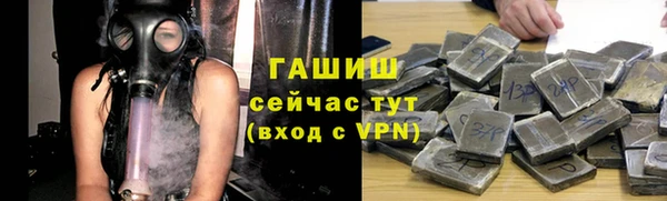 стафф Алзамай