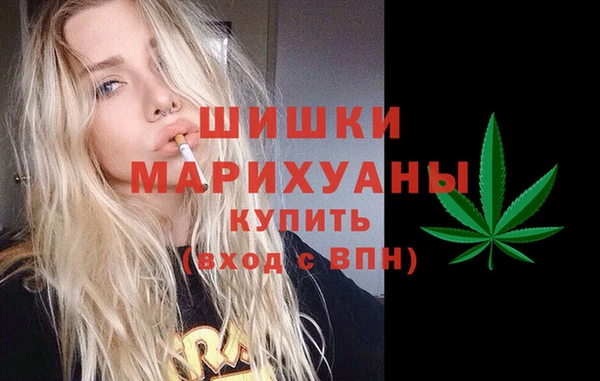 стафф Алзамай