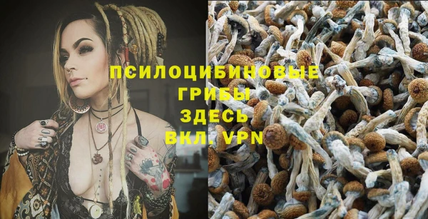 гидропоника Алексеевка