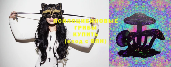 стафф Алзамай