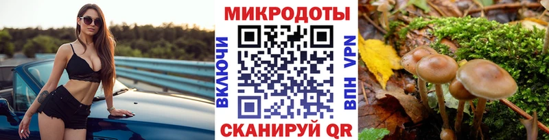 Псилоцибиновые грибы ЛСД  купить наркотики цена  Покров 
